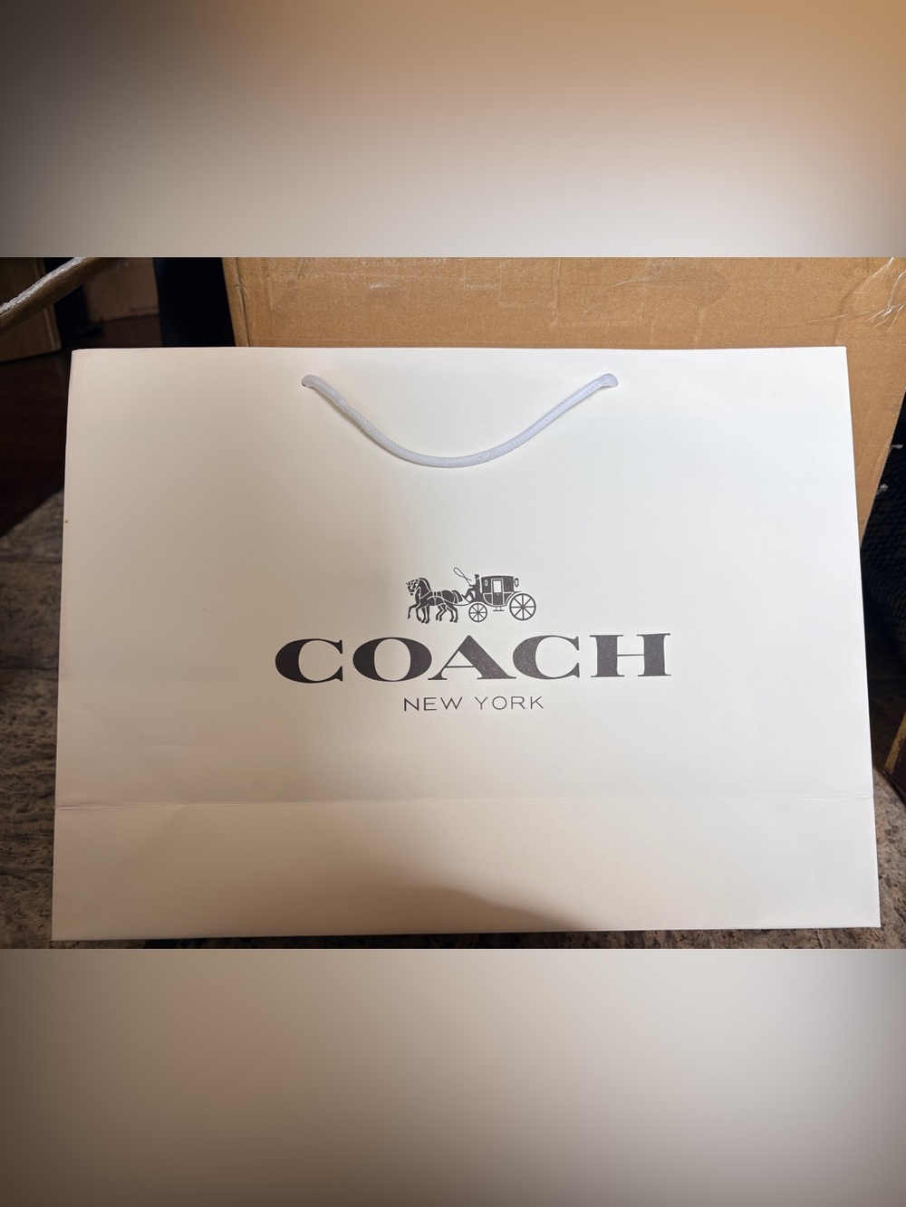 Coach White Shopping Bag with Gray Logo and Rope Handles LG